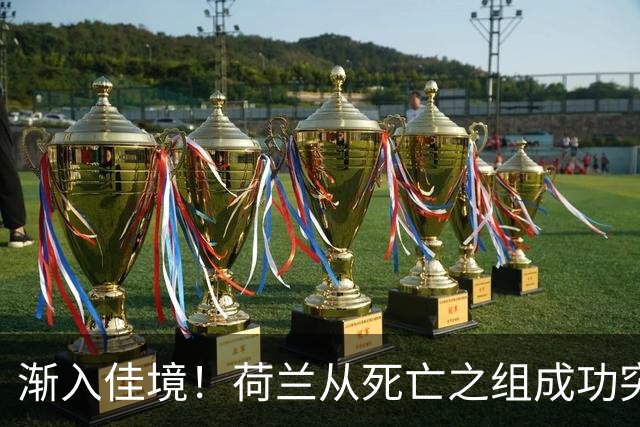 渐入佳境！荷兰从死亡之组成功突围 淘汰赛挑战与机遇并存