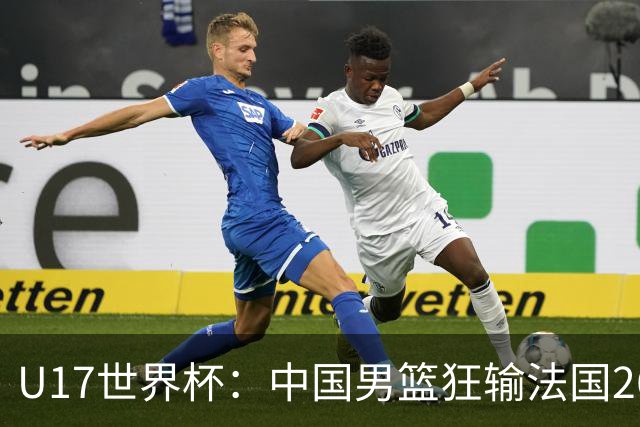 U17世界杯：中国男篮狂输法国26分无缘八强 刘玄昱20+7张子一7中7